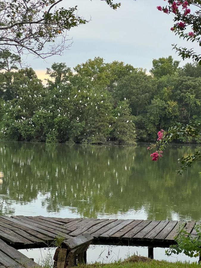 Kingwood Cottage - 10 Mins From Iah - Lake Front 험블 외부 사진